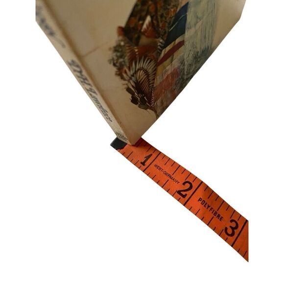 The Virgin And The Gipsy Paperback Book DH Lawrence Novel - Picture 11 of 12